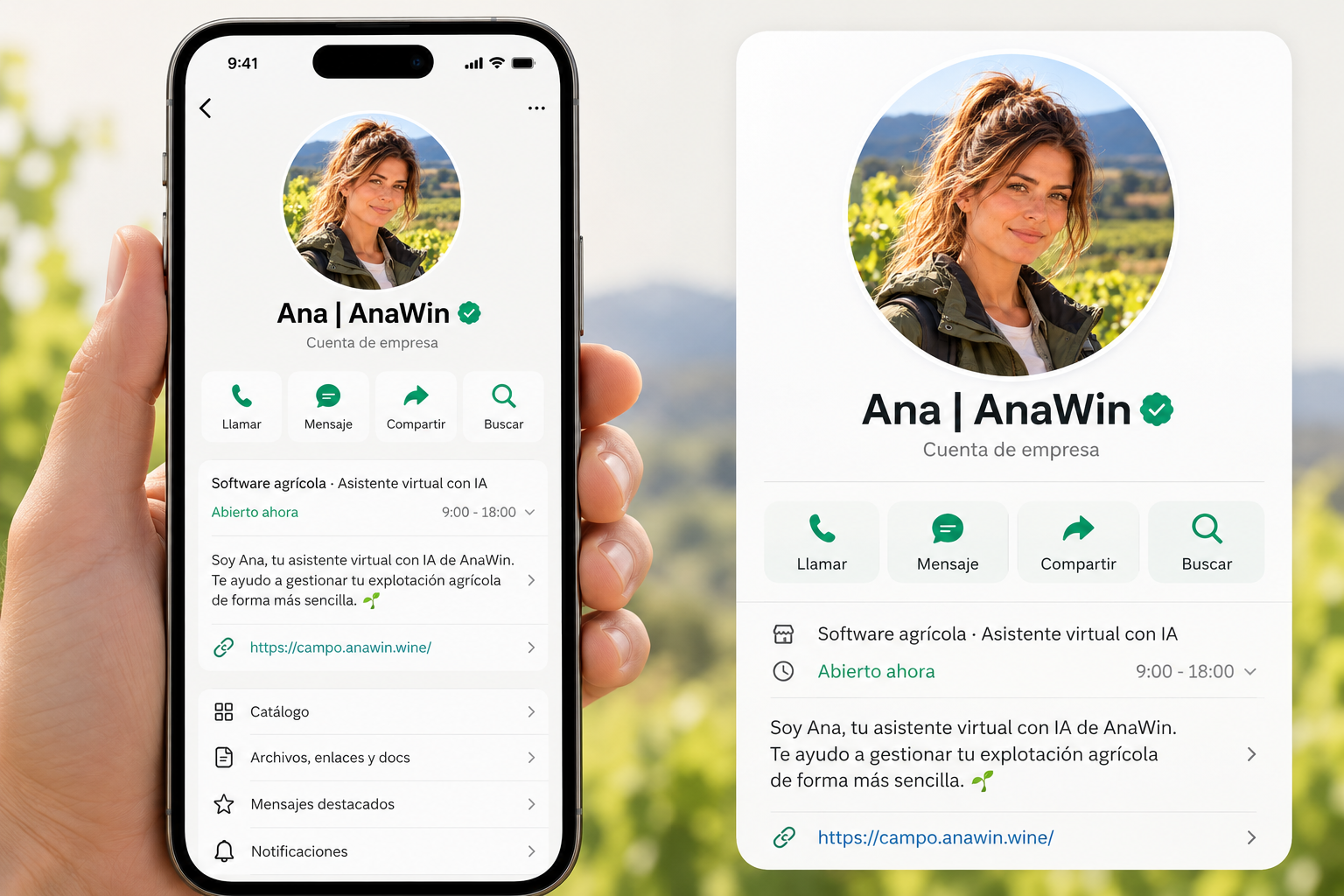 Perfil de WhatsApp Business de Ana | AnaWin